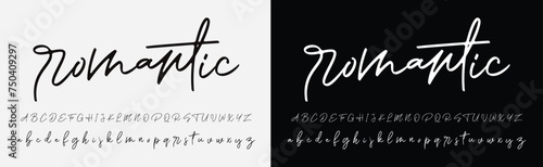 signature Font Calligraphy Logotype Script Brush Font Type Font lettering handwritten