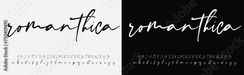 signature Font Calligraphy Logotype Script Brush Font Type Font lettering handwritten