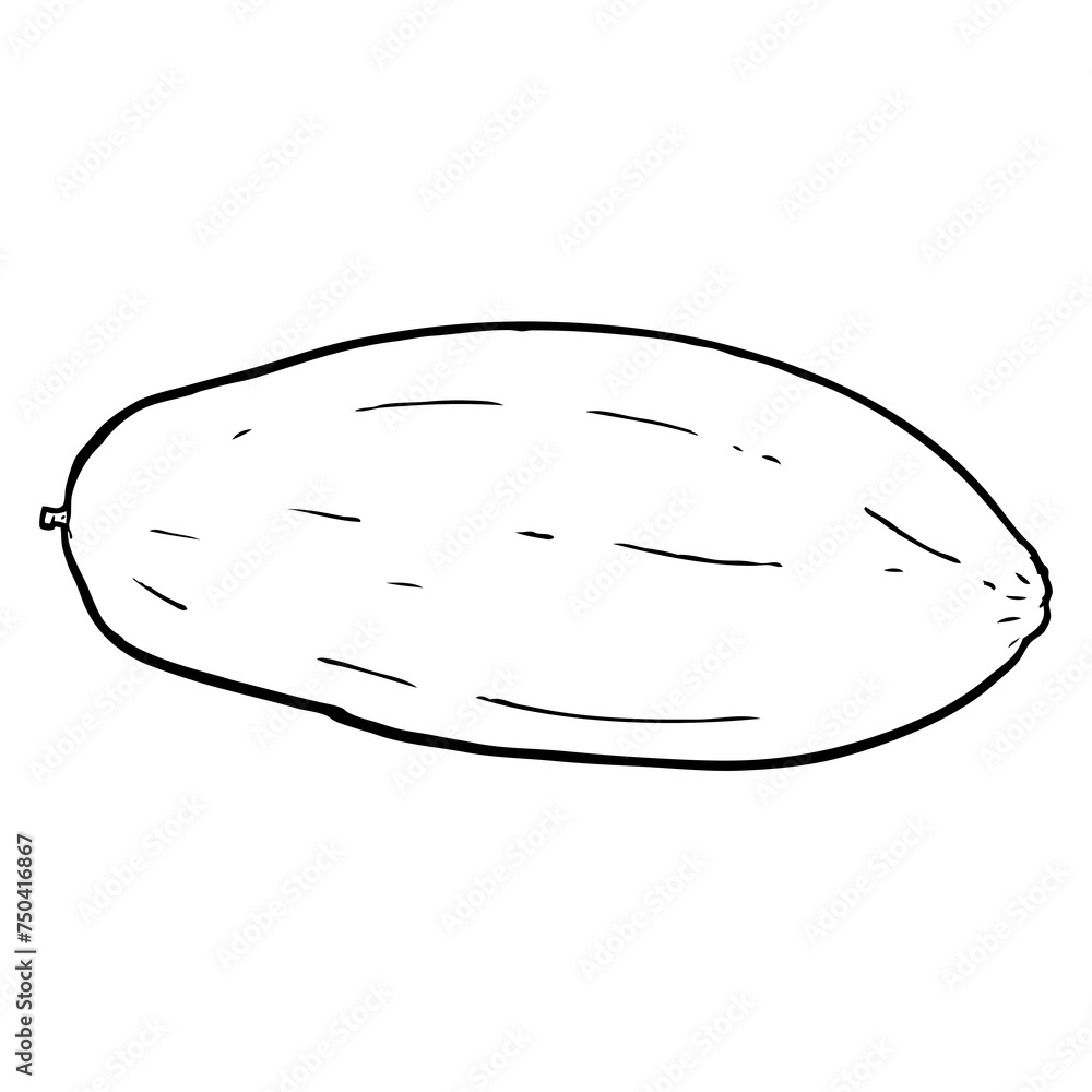 papaya line vector illustration papaya line vector illustration