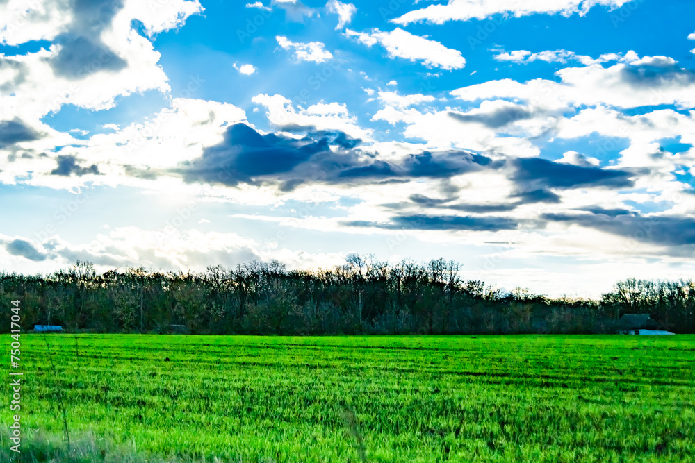 Obraz premium Photography on theme big empty farm field for organic harvest