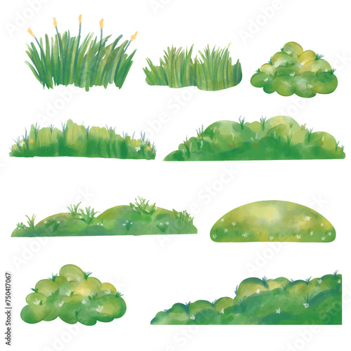 grass green illustrations Watercolor collection © orchidart