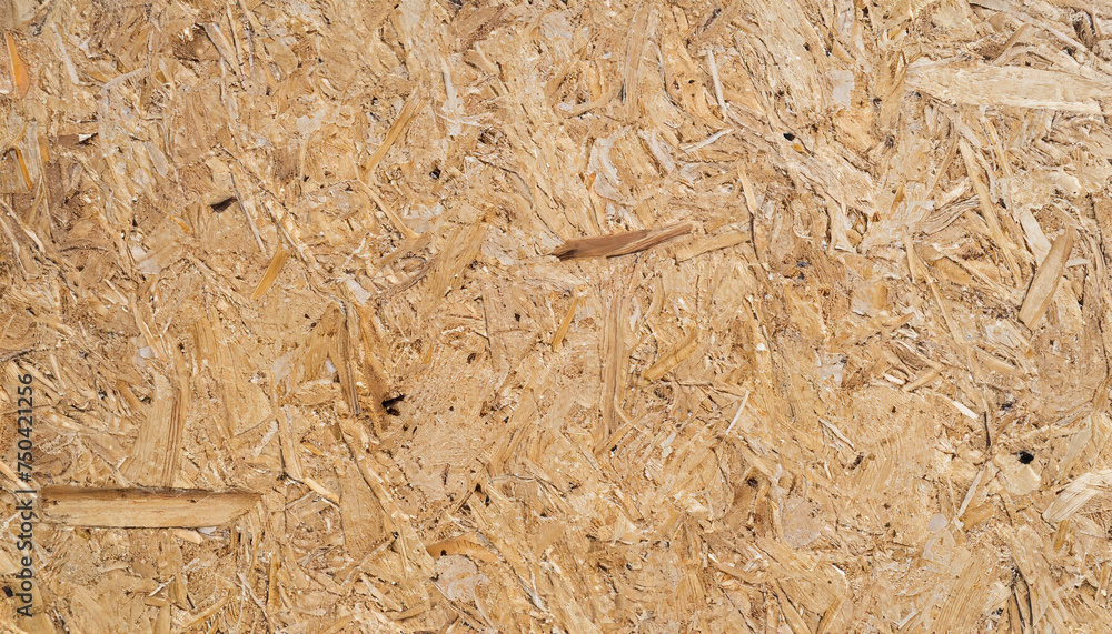 OSB, board texture and background of pressed sandy brown particle board, closeup.