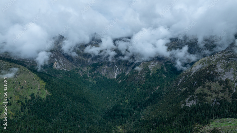 Beautiful high altitude forest mountain landscape in the fog