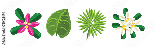 Tropical Plant with Flower and Green Leaf Foliage Vector Set