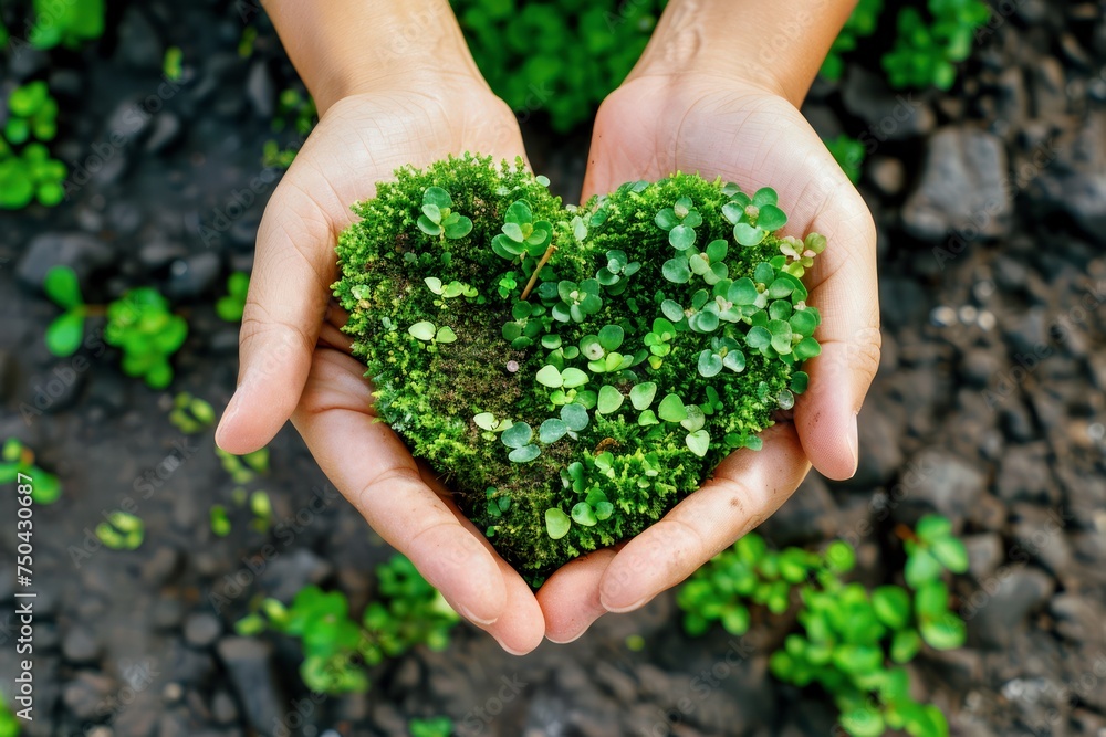 human hands holding green heart shaped grass, eco green nature resource ...