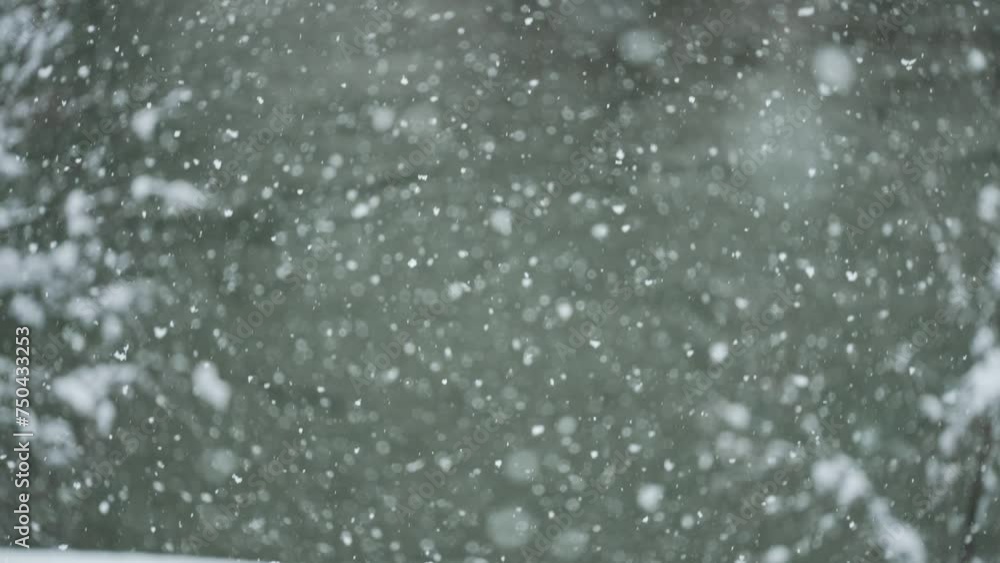 スロー映像:川の上に降る綺麗な雪 スロー映像:川の上に降る綺麗な雪
