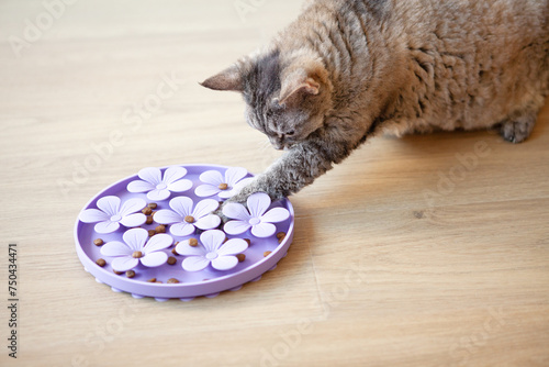Entertaining, mental challenges game for cat, can be used for daily feeding with dry food. Slow feeder toy stimulates felines mentally and physically.  Playful cat touches and punches food with paw.