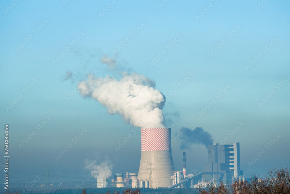 The Environmental Impact of a Power Plant in a Natural Setting