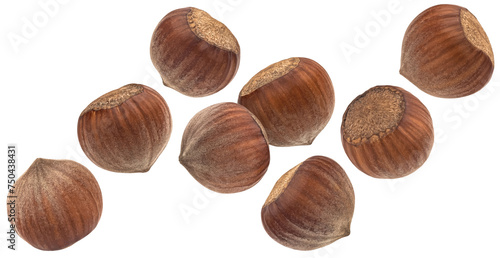 Wallpaper Mural Falling hazelnuts isolated on white background Torontodigital.ca