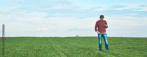 Farmer standing in wheat seedling field and using mobile phone app, smart farming concept, panoramic image