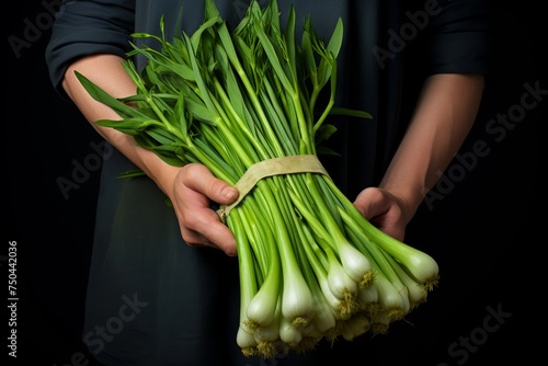 
Photo of a hand holding a bunch of fresh Sweet Garleek, a hybrid of garlic and leeks, showcasing its vibrant green stalks and bulbous cloves photo