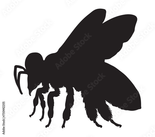 Africanized Honey Bee silhouette icon. Vector image.