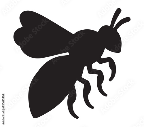 Africanized Honey Bee vector illustration on white background. photo