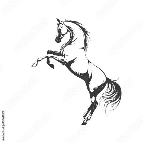 Vector illustration of a horse breaking up on its hind legs
