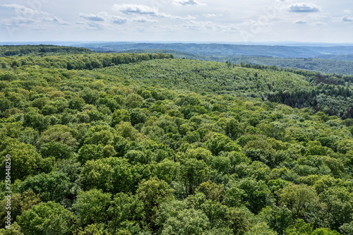 Germany, Bavaria, Aerial view of green forest in Spessart range photo