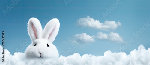Whimsical White Rabbit Enjoys Peaceful Serenity Sitting Among Fluffy Clouds © HN Works