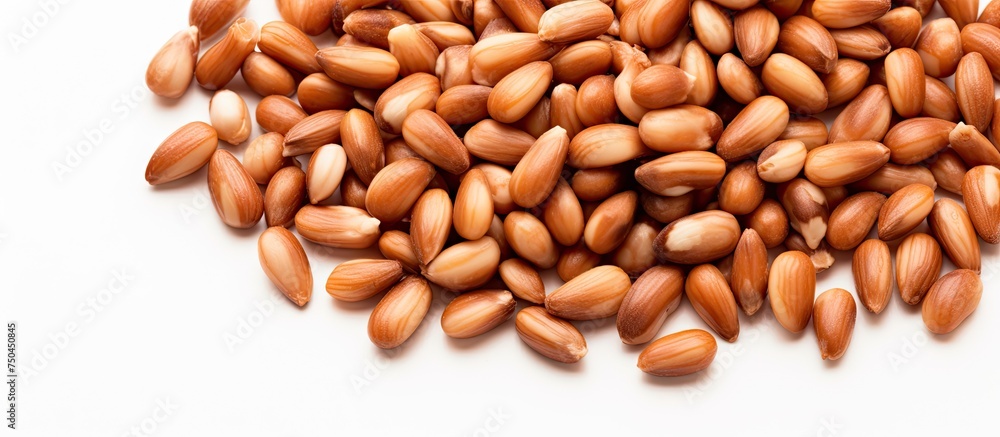 Assortment of Various Nuts, Including Pine Nuts, Scattered on a Clean White Surface Assortment of Various Nuts, Including Pine Nuts, Scattered on a Clean White Surface
