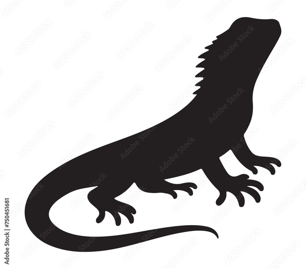 Fototapeta premium Vector graphic of Agama Lizard.