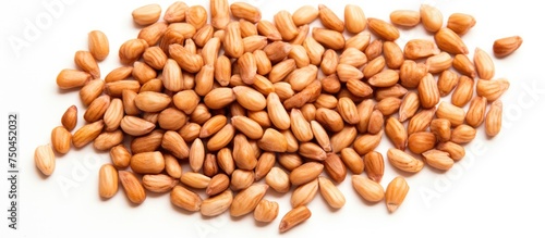 Fresh Pine Nuts with Shells on a Clean White Background for Organic Food Concepts