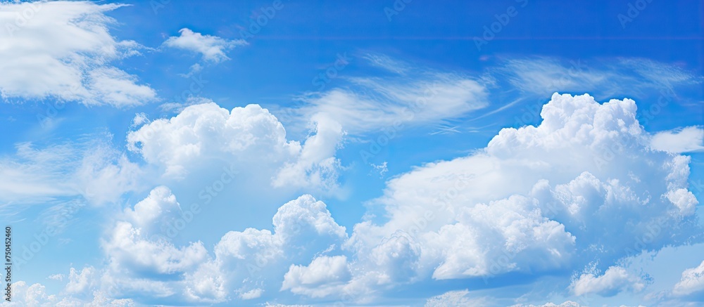 Serenity of Nature: Bright Blue Sky with Fluffy Cumulus Clouds After a Refreshing Rainfall Serenity of Nature: Bright Blue Sky with Fluffy Cumulus Clouds After a Refreshing Rainfall