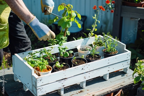 Guy gardener in garden gloves puts the pots with seedlings in the white wooden box on the table and a girl prunes plants in the wonderful nursery-garden on a sunny day. 