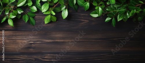 Lush Green Foliage Arrangement on Dark Wooden Table - Nature Inspired Home Decor Idea