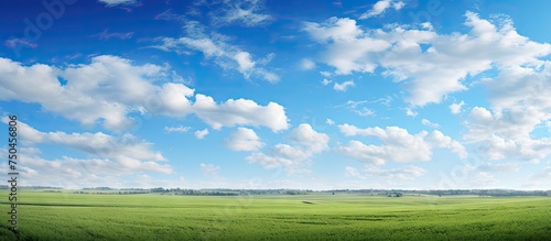 Tranquil Field of Emerald Green Grass Under Clear Blue Sky, Wide Angle Landscape View