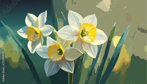 Narcissus flowers in the spring