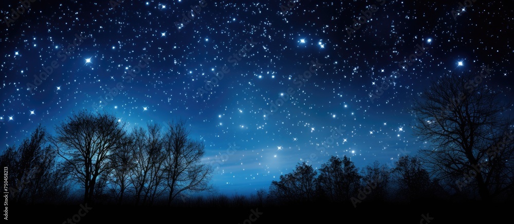 Enchanting Night Sky with Starlit Trees featuring Ursa Major Constellation