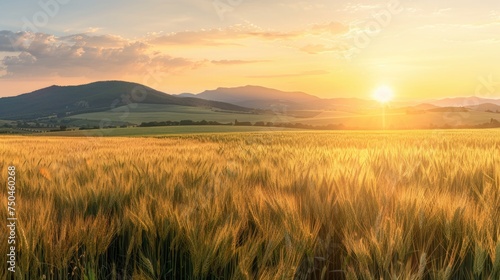 Beautiful sunset over a peaceful wheat field  perfect for nature and agriculture concepts
