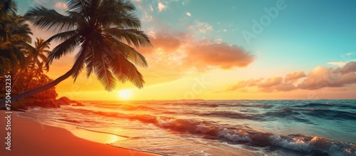 Tranquil Paradise: A Majestic Sunrise Over a Serene Beach with Palm Trees