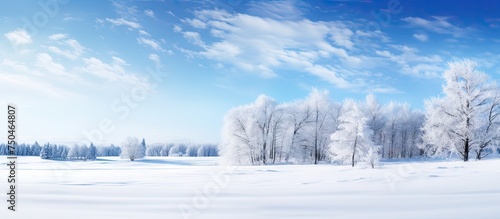 Majestic Winter Wonderland: Sunny Snowscape with Frosty Trees in Blue Sky © HN Works