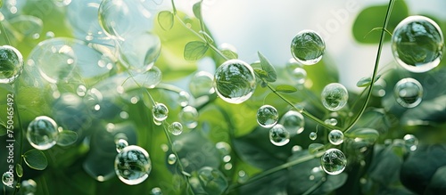 Vibrant Water Droplets Glisten on Lush Green Leaves in the Glowing Sunlight