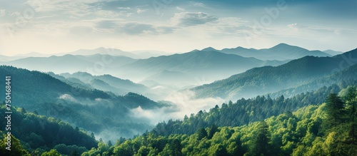 Majestic Mountain Range Blanketed in Lush Forest With Dramatic Cloudy Sky © HN Works