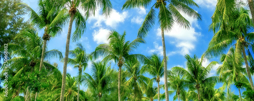 Rows of palm trees on blue cloudy sky banner