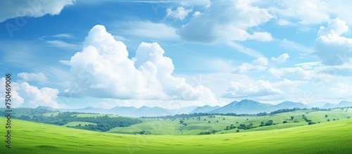 Tranquil Green Field Under Blue Skies  A Serene Escape into Nature s Beauty