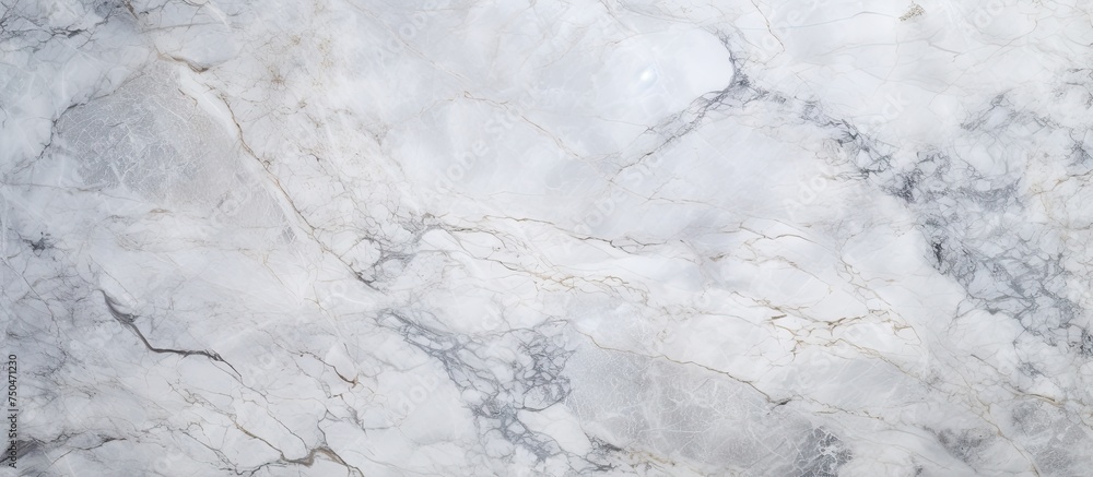 Elegant White and Gray Marble Floor with Intricate Natural Patterns and Textures
