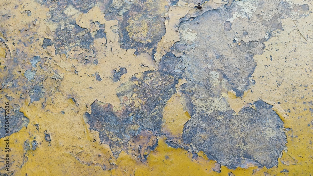 wall wall