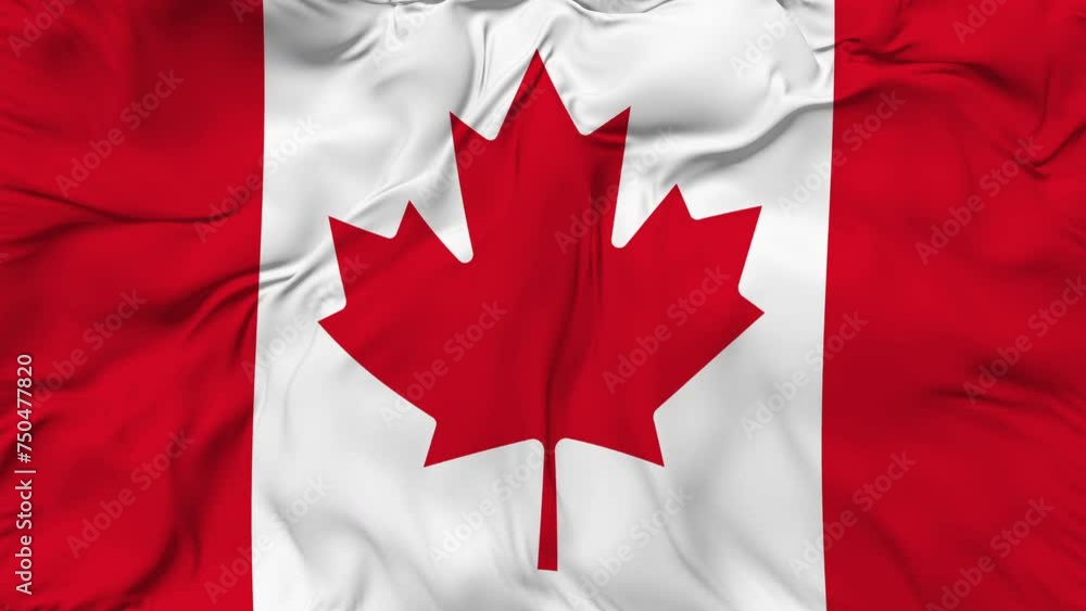 Canada flag animation seamless loop. 4K Canada flag animation seamless loop. 4K