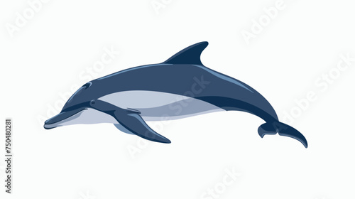 Dolphin Vector illustration on a white background. 