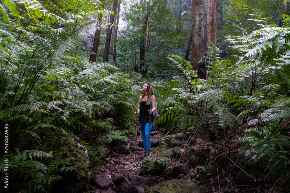 backpacker woman with poles stands along a path through the jungle
