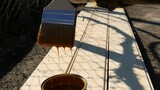 Brush in the hand of a person with dripping paint against the background of long fresh wooden boards on the street on a sunny day, painting in the brown color of wooden material Outdor