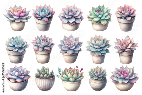 Watercolor illustration material set of succulent plants