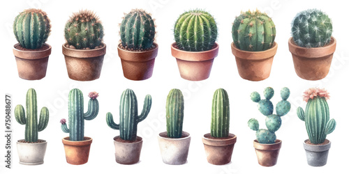 Watercolor illustration material set of cacti
