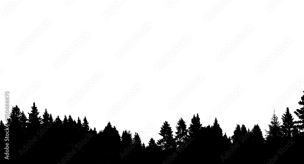 Abstract Background in Black and White - Art , Silhouette of trees in black and white Abstract Background in Black and White - Art , Silhouette of trees in black and white