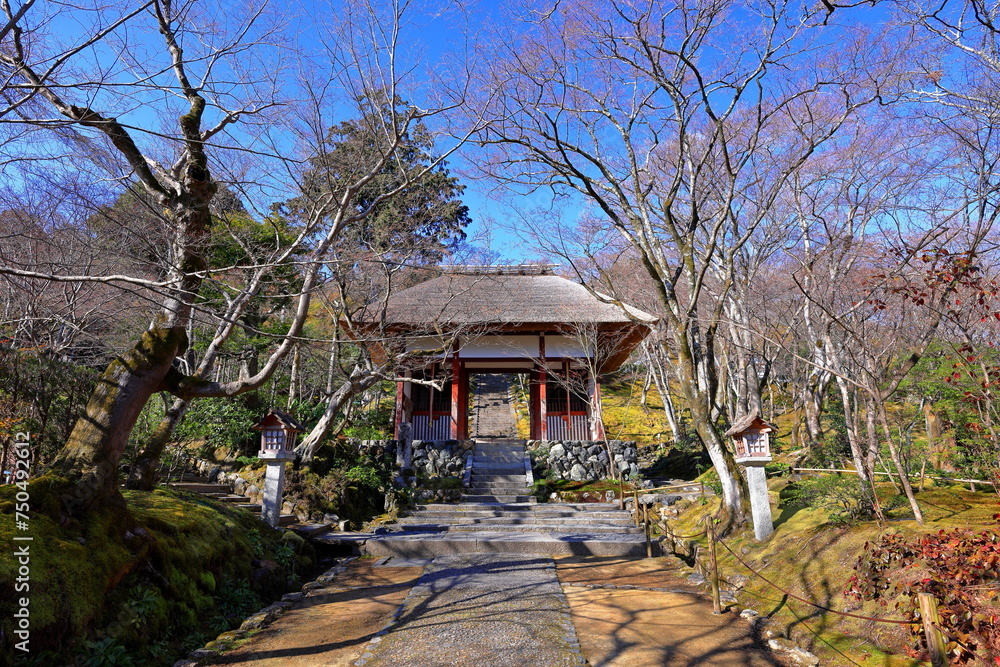 Jojakkoji Temple, a Buddhist temple in a serene forest at Sagaogurayama Oguracho, Ukyo Ward, Kyoto, Japan Jojakkoji Temple, a Buddhist temple in a serene forest at Sagaogurayama Oguracho, Ukyo Ward, Kyoto, Japan