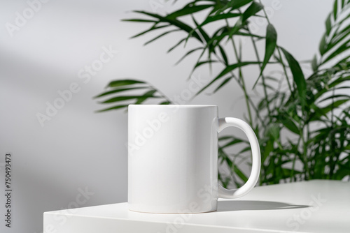 Porcelain cup and palm branch on white background