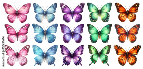 Watercolor illustration material set of butterflies