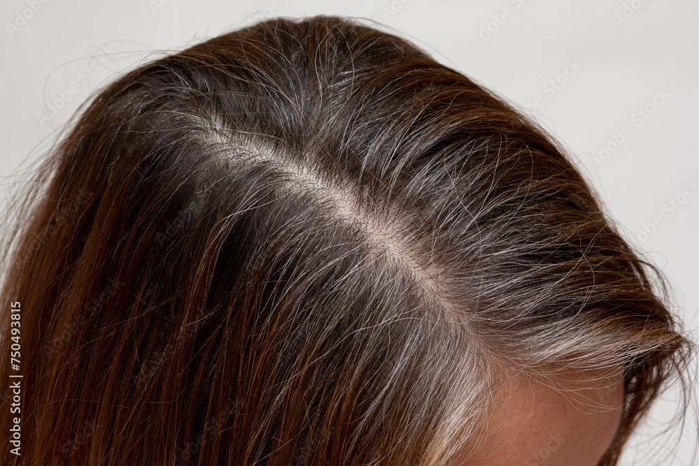Top view of regrowth root with grey hair Top view of regrowth root with grey hair
