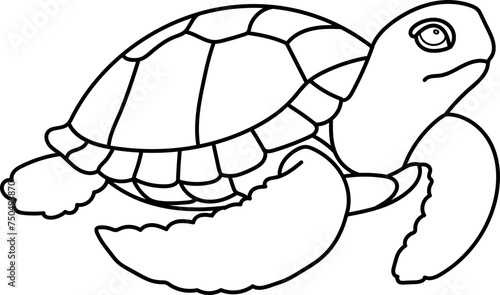 Sea Turtle Cute Doodle